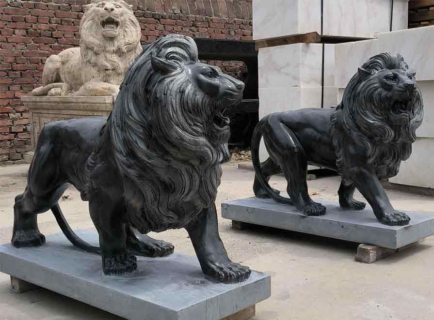 Pair of life size black marble roaring lion statues for sale DZ-426